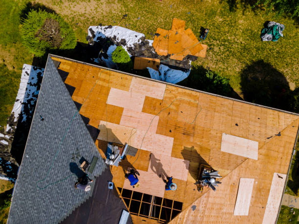 Best Tile Roofing Contractor  in Lucedale, MS