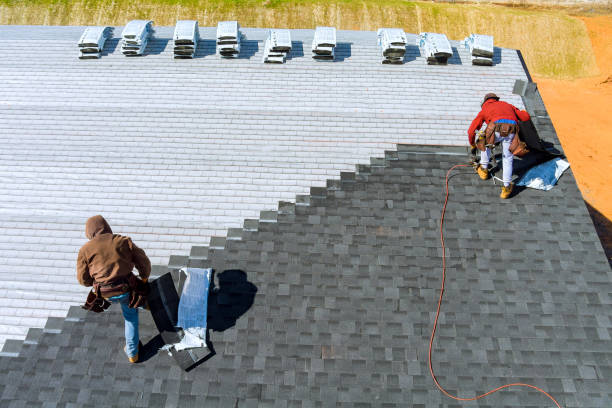 Best Roof Gutter Cleaning  in Lucedale, MS