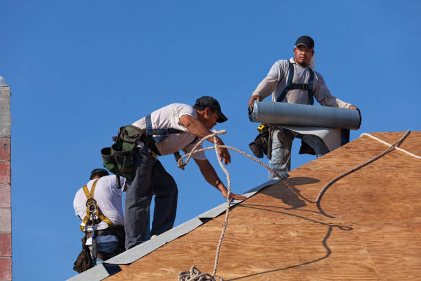 Quick and Trustworthy Emergency Roof Repair Services in Lucedale, MS