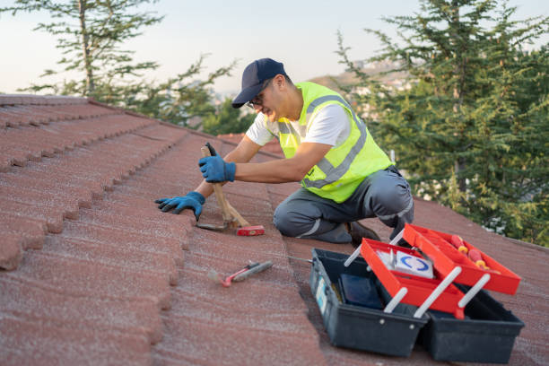 Best Metal Roofing Contractor  in Lucedale, MS