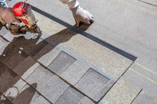 Best Storm Damage Roof Repair  in Lucedale, MS
