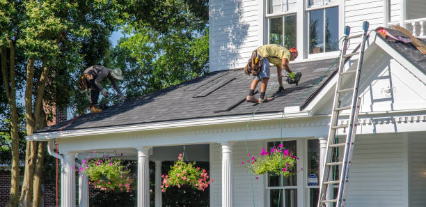 Best Emergency Roof Repair  in Lucedale, MS