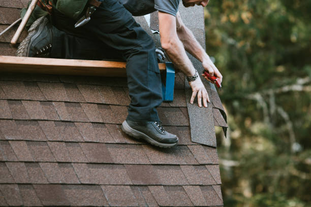 Best Shingle Roofing Installation  in Lucedale, MS